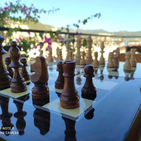 Проживание в семье Meltem