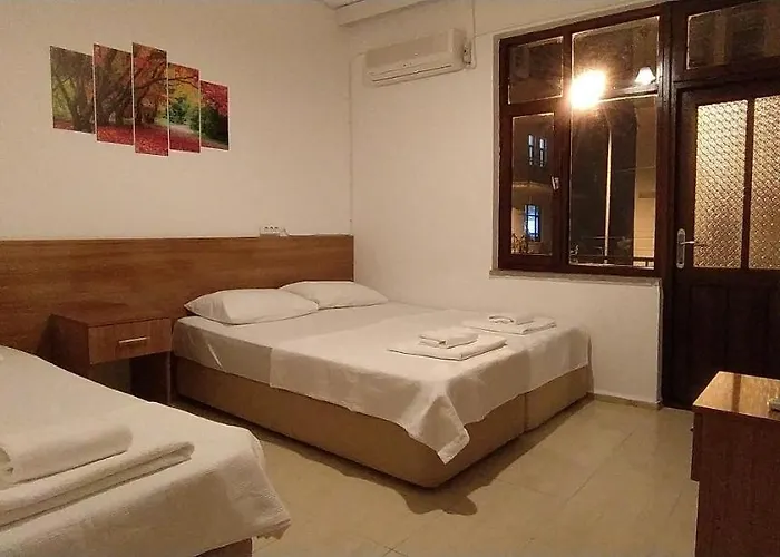 Проживание в семье Meltem